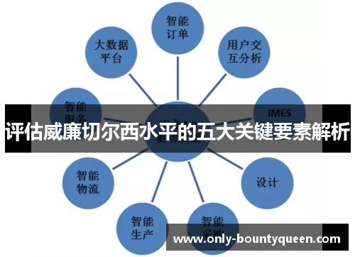 评估威廉切尔西水平的五大关键要素解析