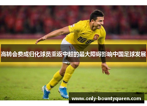 高转会费成归化球员重返中超的最大障碍影响中国足球发展